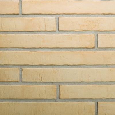 Фасадная плитка Лонг 101 (Ригель) PETRA — внешний вид коллекции
